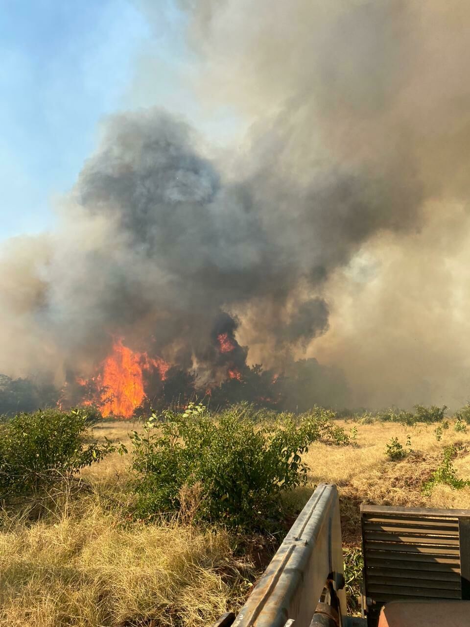 Imagem de compartilhamento para o artigo Incêndio de grandes proporções atinge área rural próxima a Figueirão; Prefeitura acompanha de perto e presta apoio da MS Todo dia